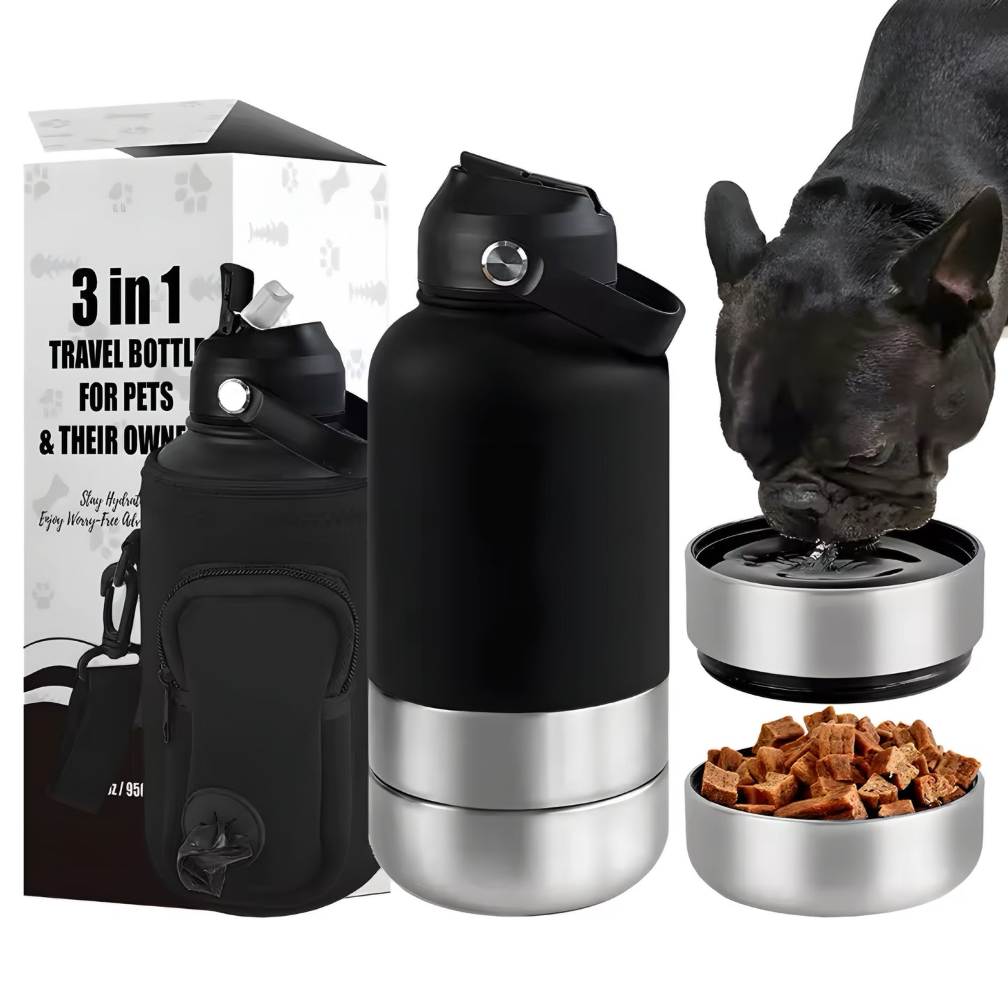 3-in-1 Stainless Pet Bottle