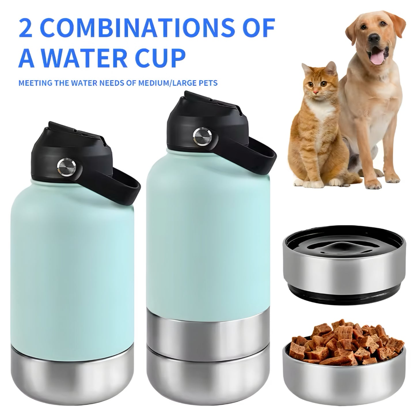 3-in-1 Stainless Pet Bottle