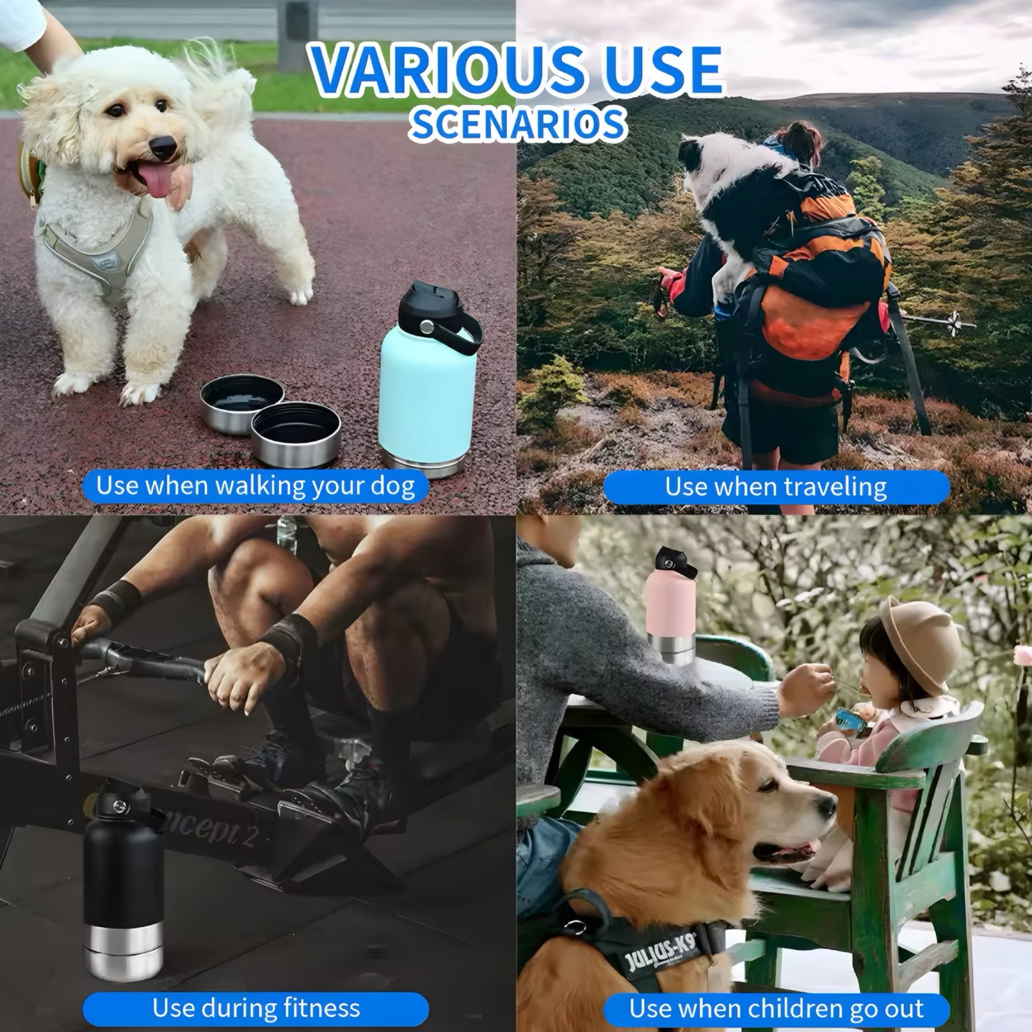 3-in-1 Stainless Pet Bottle